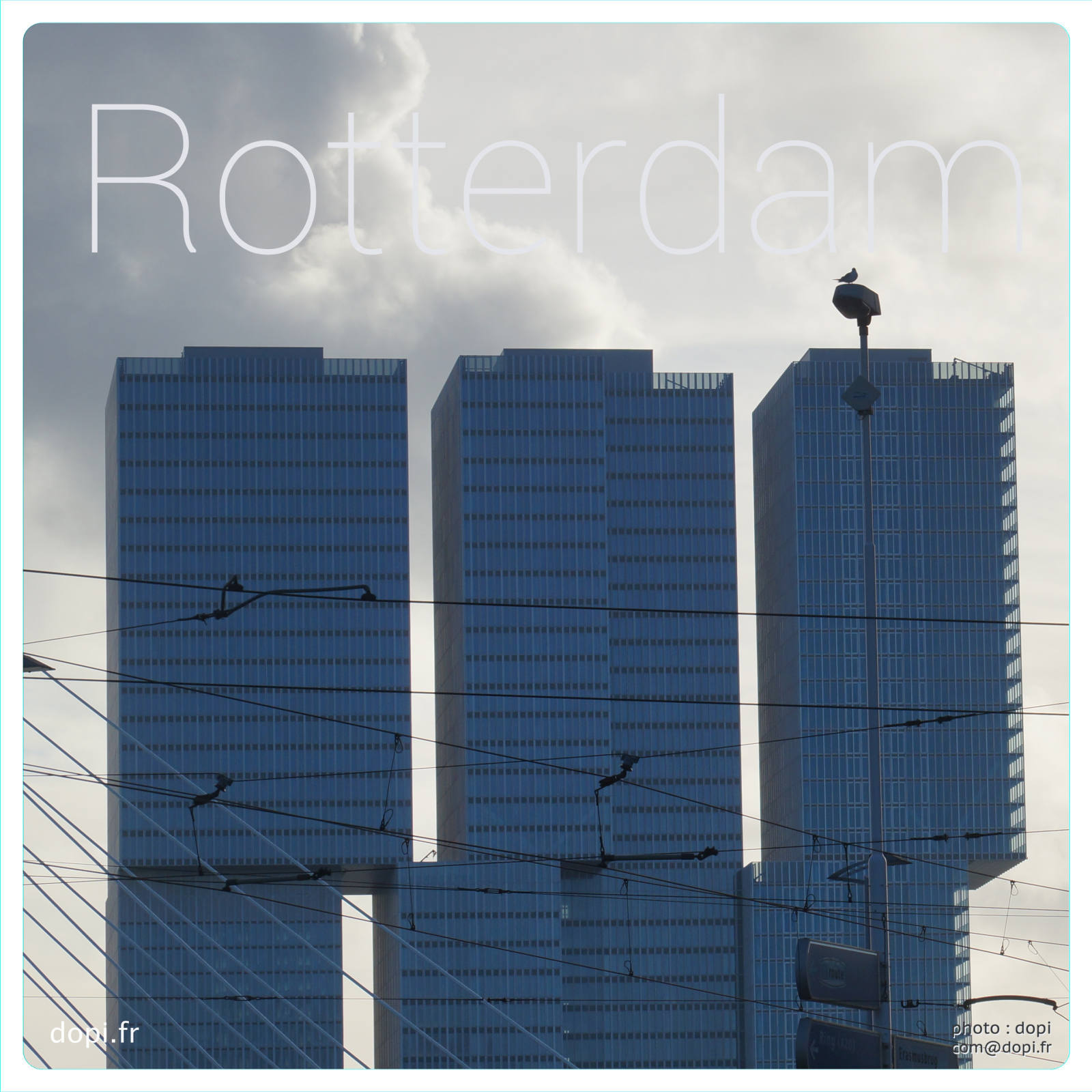 00012 22rot,medium large.2x.1483111471